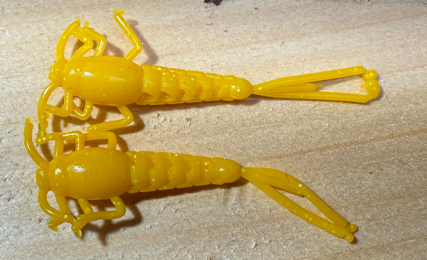 Yella Fella Bug